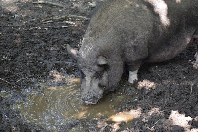 C罗对足球 C罗对足球